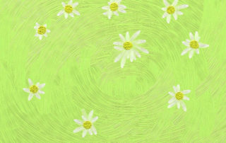 SwirlyDaisyField